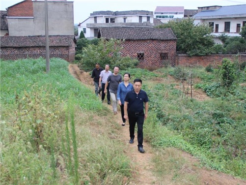 平博app官方版下载党委书记张格林到攸县桃水镇小集村指导开展扶贫工作